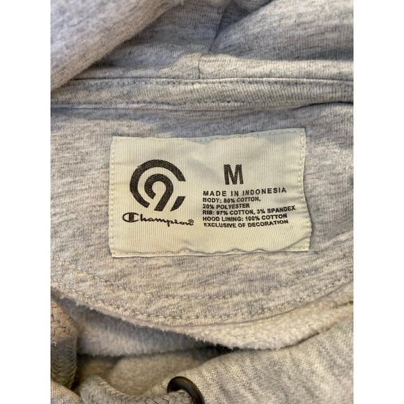 Champion Hoodie Womens Size Medium Gray Oversized Distressed Purple Hearts - Picture 11 of 12